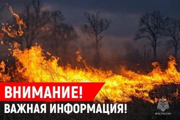Чрезвычайная пожароопасность (5 класс) в центральных районах ДНР, в северо-восточных районах и Приазовье высокая пожароопасность (4 класс) ожидаются 14-16 августа