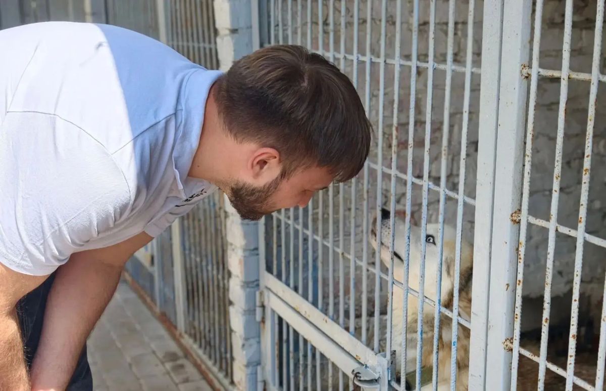 МОЛОДЕЖНЫЙ СОВЕТ ГУП ДНР «ДОНБАССТЕПЛОЭНЕРГО» ПОДДЕРЖАЛ ПРИЮТЫ ДЛЯ ЖИВОТНЫХ МОЛОДЕЖНЫЙ СОВЕТ ГУП ДНР «ДОНБАССТЕПЛОЭНЕРГО» ПОДДЕРЖАЛ ПРИЮТЫ ДЛЯ ЖИВОТНЫХ