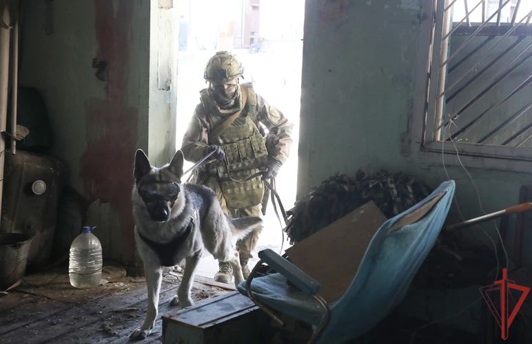 Росгвардия обезвредила сотни боеприпасов в ДНР