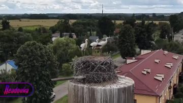 � ��������������� ������� �������� ���� ������������ ����� ��-�� ��������� �������