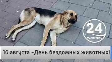 �������� ������ 16.08. 16 ������� -��������� ���� ��������� ��������! 16 ������� � ��������� ���� ��������� ��������