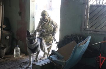 Росгвардия обезвредила сотни боеприпасов в ДНР