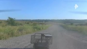 Российские бойцы уничтожили десятки средств подвоза ВСУ на добропольском направлении