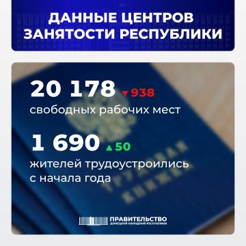 Вице-премьер Лариса Толстыкина сообщила о свободных рабочих местах в ДНР