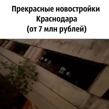 Всё главное в одном месте — «Блокнот Россия» в МАХ