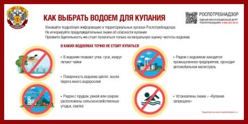 Плавать в одной реке с утками или нет? Как выглядят водоемы, в которых точно нельзя купаться П