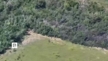 "��� ������, ��� ����": �������� ���� ���������� ������ ���������, ��� � ���� ������������ �������� � ��� ���������� ����� ����������� ���������� ���������� �����