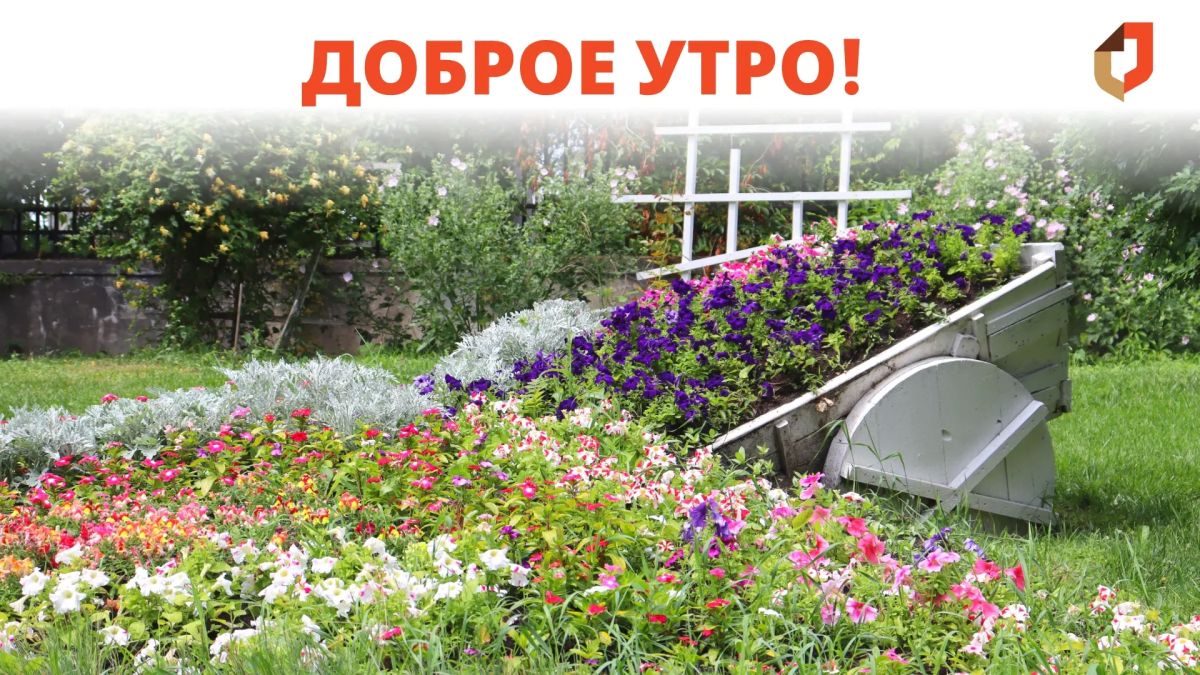 Доброе утро и отличного начала рабочей недели!
