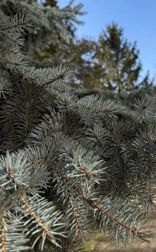 Наталья Великодная: Доброе утро, уважаемые жители!