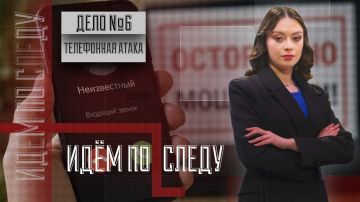 Дело №6. Телефонная атака. «Осторожно, мошенники!» — привычная фраза, которую столько раз видели, что почти не замечаем