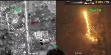 ��� ������: �����������-����������� �����������