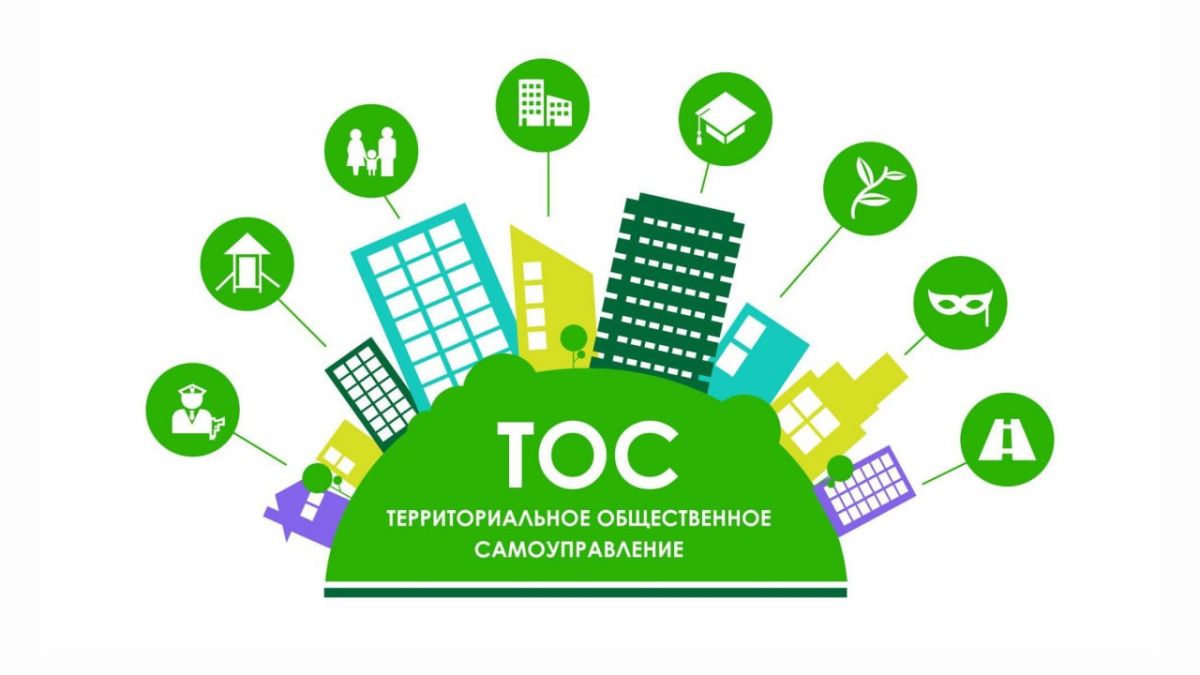 Территориальное общественное самоуправление ()