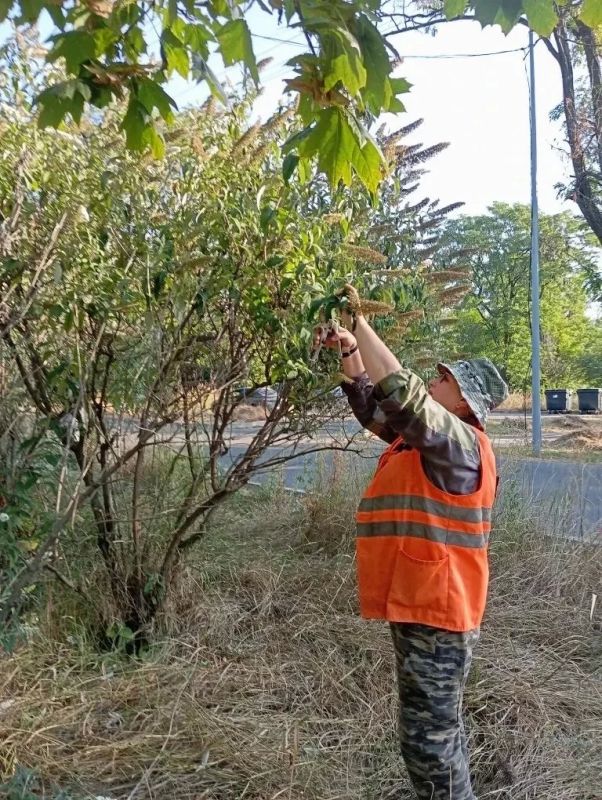 Сотрудники «Уютного города» продолжают улучшать инфраструктуру Мариуполя Сотрудники «Уютного города» продолжают улучшать инфраструктуру Мариуполя