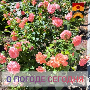 Александр Шатов: Гидрометцентр сообщил о погоде в Шахтерском округе