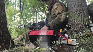 #присоединяйсякСВОим. Подробности на сайте служба по контракту.рф и по телефону 117