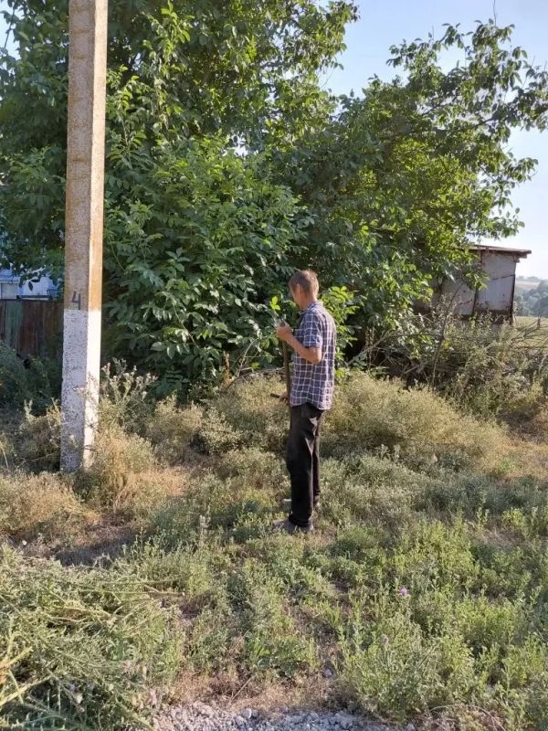 Неравнодушные жители совместно с ТОС (Территориальное общественное самоуправление) «Долина Берды» провели субботник в селе Луговое Неравнодушные жители совместно с ТОС (Территориальное общественное самоуправление) «Долина Берды» провели субботник в селе Луговое