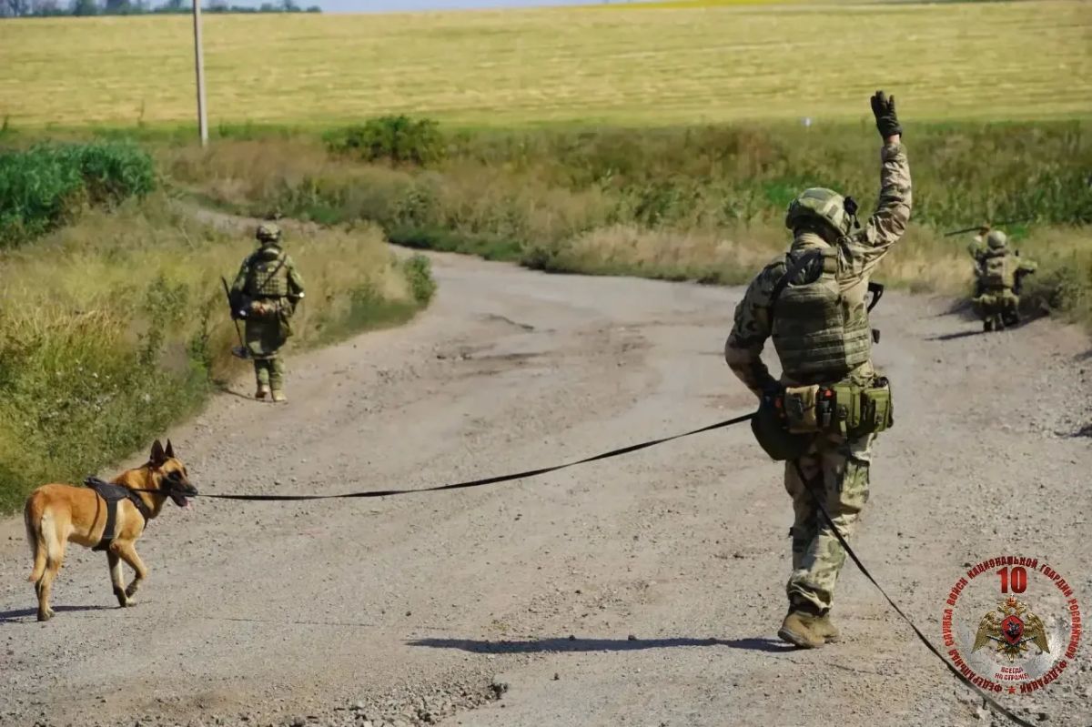 В День фронтовой собаки кинолог Росгвардии рассказал об особенностях выполнения задач СВО в ДНР В День фронтовой собаки кинолог Росгвардии рассказал об особенностях выполнения задач СВО в ДНР