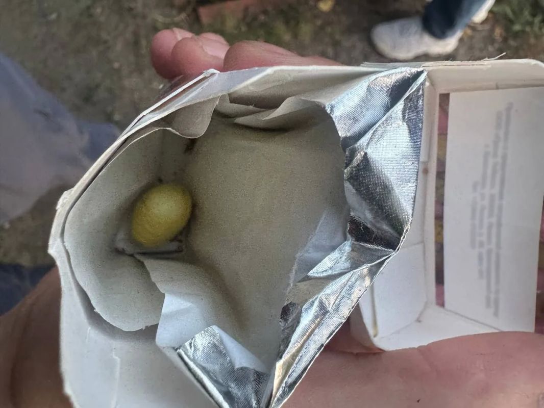 В столице Республики полицейские задержали наркосбытчика В столице Республики полицейские задержали наркосбытчика