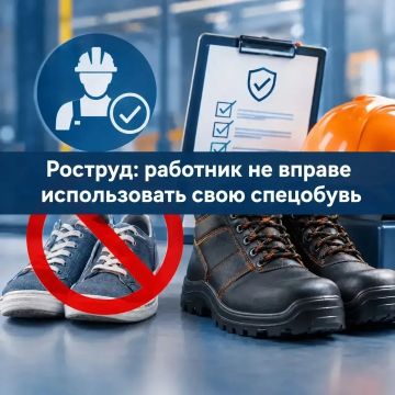 ������ � ������� �������� "���������������.��" (������� N 250587 �� 11 ���� 2026 �. � N 250431 �� 9 ���� 2026 �.)