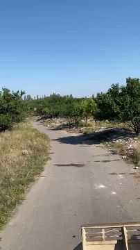 РЕШЕНО ДЕПУТАТАМИ | Посёлок Холодная Балка