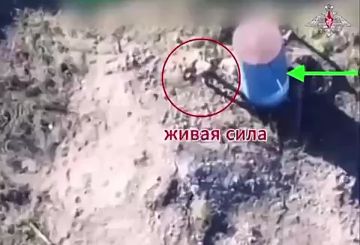 ВС РФ освободили населенные пункты Матяшево и Николайполье в ДНР, сообщает МО РФ