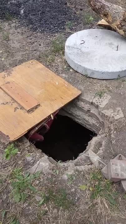 На Текстильщике в Донецке в яме с коммуникациями могут заживо замуровать собак