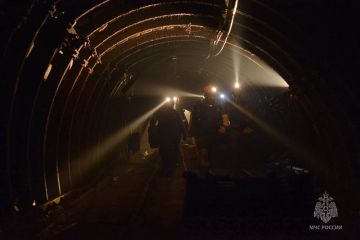 #МЧСДНР_СВОД за сутки. Ликвидировано 63 пожара, из них 41 — ландшафтный