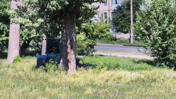 Сегодня, 20 августа, с целью приведения территории в надлежащее санитарное состояние в Кировском внутригородском районе города Макеевки силами МУП АГМ «Перспектива» ведутся работы по покосу травы в сквере «Авангард»