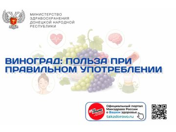 Виноград: польза при правильном употреблении