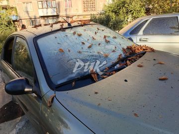 ���� ���������: � ���������� ����� ���� ��� � ����������� ������ �������� ���������� ��������������� ��� � ��� ����������� ����������