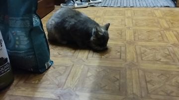 � ������� #����������� �������� ���������