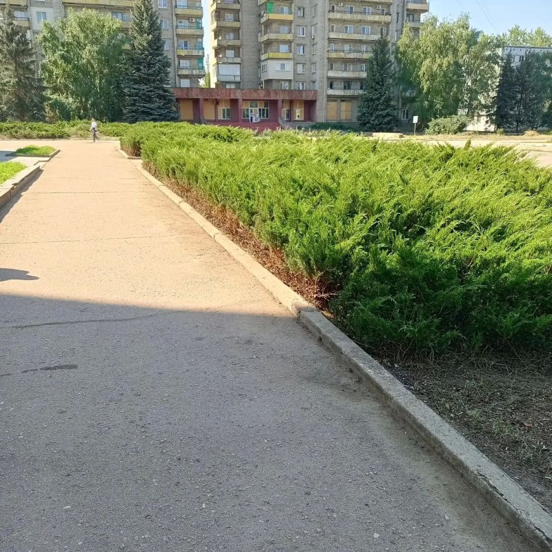 Благоустройство Светлодарска: текущие работы МБУ «Благо» Благоустройство Светлодарска: текущие работы МБУ «Благо»