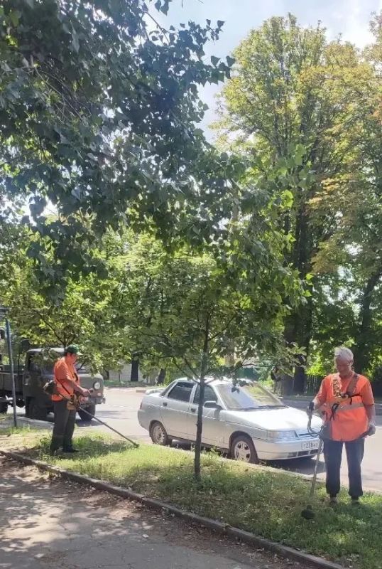 Наталья Бегуненко: В Петровском районе коммунальные предприятия приняли активное участие в акции "Чистый четверг" Наталья Бегуненко: В Петровском районе коммунальные предприятия приняли активное участие в акции "Чистый четверг"