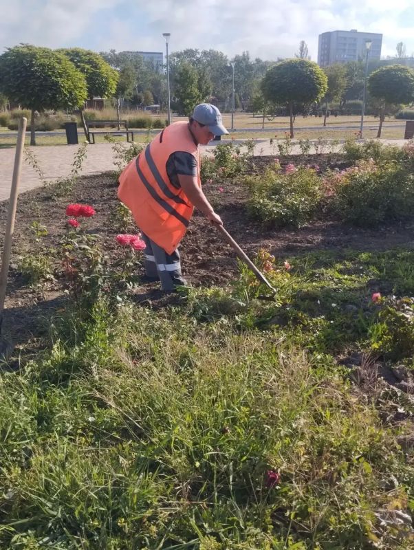 В «Уютном городе» подвели итоги работы за прошлые сутки В «Уютном городе» подвели итоги работы за прошлые сутки