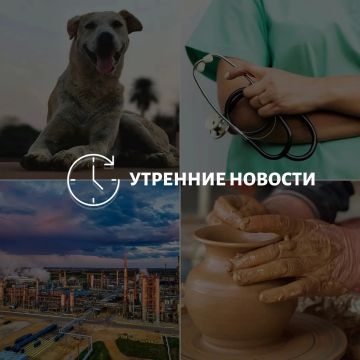 Главные новости в Донецке на этот час — что происходит в городе и республике: