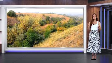 Прогноз погоды на 22.08.2026