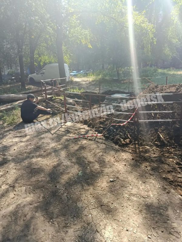 В Кировском районе прошла совместная операция по спасению животных