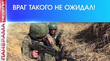 Мощный рывок ВС РФ под Дружковкой: оборона врага прорвана! 22.08.2026, «Панорама Недели с Мариной Лысенко»