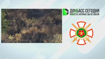 Подразделения группировки войск «Центр» развивают продвижение на добропольском направлении, опираясь на позиции в Матяшево и Краснополье
