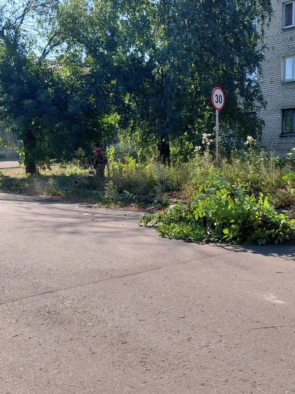 Благоустройство территории: в Дебальцево продолжаются работы по покосу травы Благоустройство территории: в Дебальцево продолжаются работы по покосу травы