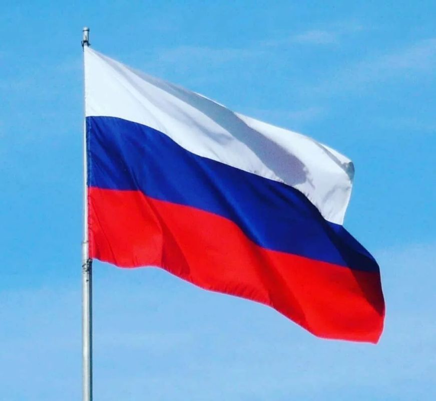 Сегодня мы отмечаем День Государственного флага России — день, когда вспоминаем о символе, который знаком каждому с детства