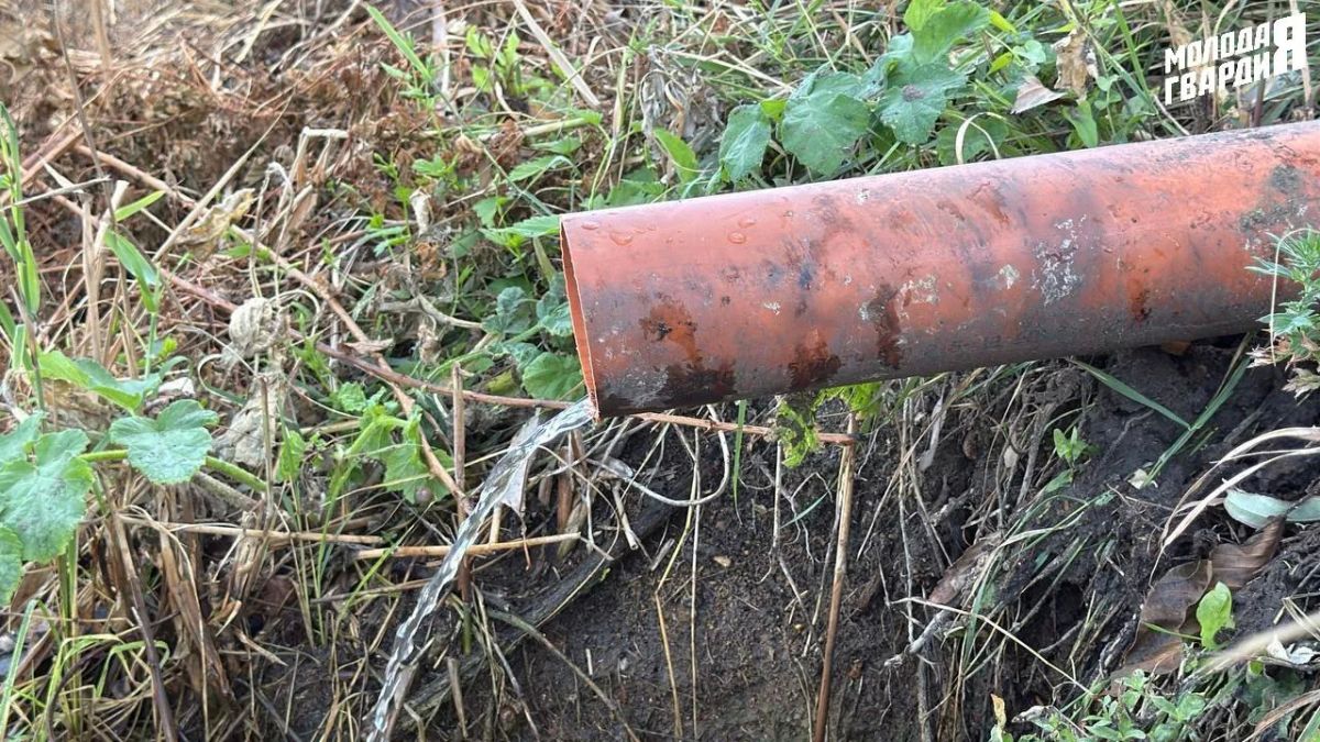 Руководитель Мариупольского отделения «Молодой Гвардии» Никита Аверкин совместно с Представительством Санкт-Петербурга в городе Мариуполе в лице руководителя Олега Моргуна, а также руководителем управы Жовтневого... Руководитель Мариупольского отделения «Молодой Гвардии» Никита Аверкин совместно с Представительством Санкт-Петербурга в городе Мариуполе в лице руководителя Олега Моргуна, а также руководителем управы Жовтневого...