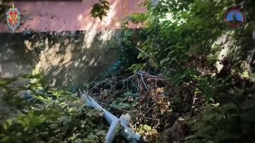 Системой «Купол Донбасса» и сводными мобильными огневыми группами за неделю предотвращено 88 террористических атак со стороны противника