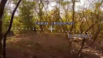 ������ �������: ��������� ����������� ������ ����� ����������� ���������� �������� � ���������� �������������� ���� ���������� � ������������ ���������