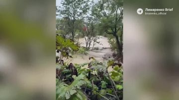 Мощные ливни затопили районы Сахалина и смыли базу отдыха — двое туристов пропали