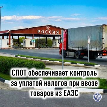 В УФНС России по ДНР рассказали о системе, которая определяет порядок ввоза товаров из Беларуси, Казахстана, Армении и Киргизии