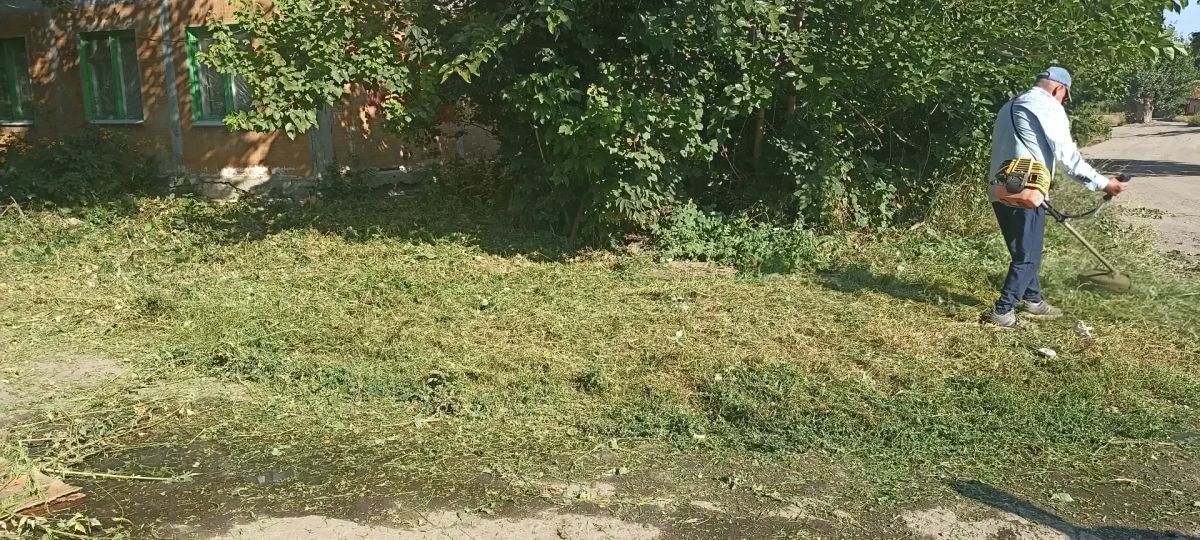 В Центрально-Городском внутригородском районе, в рамках акции "Маленькие добрые дела", при непосредственной помощи активистов ПО 569, проведена работа по наведению санитарного порядка: осуществлен покос сорных и...