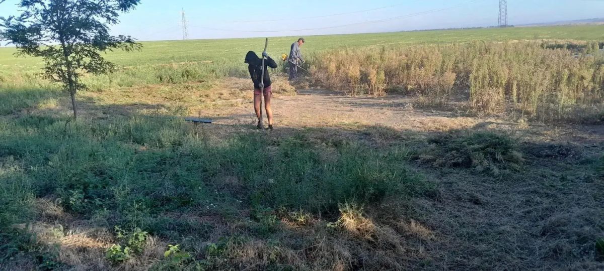 Благоустройство памятных мест, посвящённых подвигу народа в Великой Отечественной войне, это не просто уборка, а проявление уважения к подвигу нашего народа Благоустройство памятных мест, посвящённых подвигу народа в Великой Отечественной войне, это не просто уборка, а проявление уважения к подвигу нашего народа