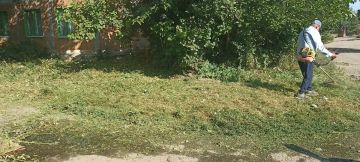 В Центрально-Городском внутригородском районе, в рамках акции "Маленькие добрые дела", при непосредственной помощи активистов ПО 569, проведена работа по наведению санитарного порядка: осуществлен покос сорных и...