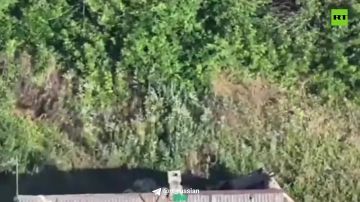 � ��������� � ����������� (���) ������� ������� ���������� ����� ��� ������ ���������� ������� ���